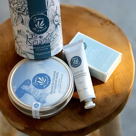 Hotel Chateau De Drudas