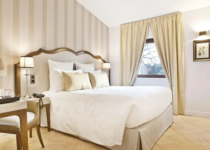 Отель Chateau De Drudas