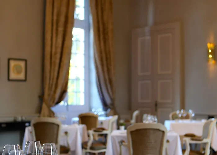 Отель Chateau De Drudas