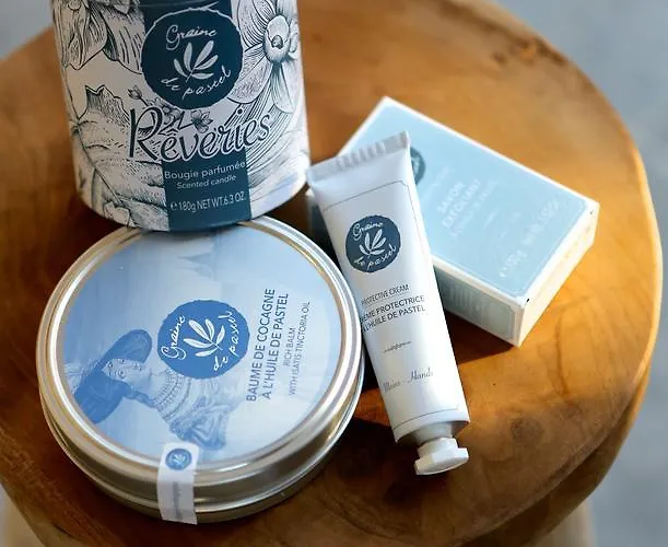 Отель Chateau De Drudas