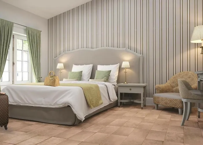 Отель Chateau De Drudas